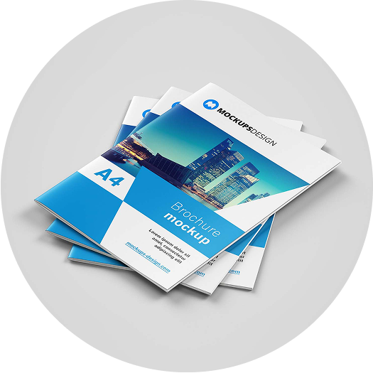 Catalogs, Brochures & Inserts 